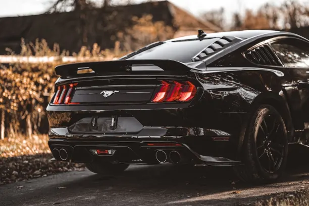 Πλαι Σαννυ Καζίνο Εφαρμογή Android/iOS